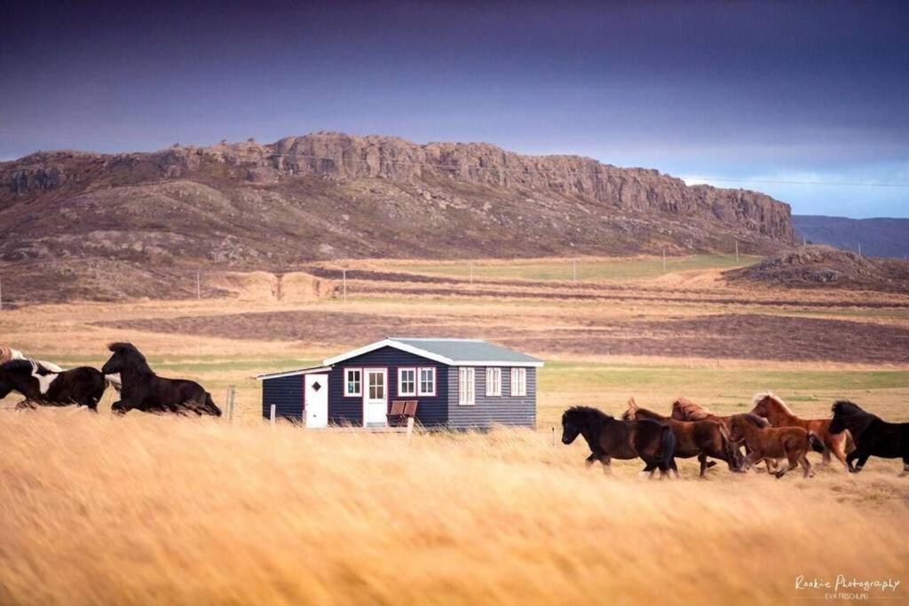 Cosy Cottage-Alfabakki-With Hot Tub Stori-Bakki Luaran gambar